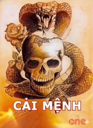 Cải Mệnh