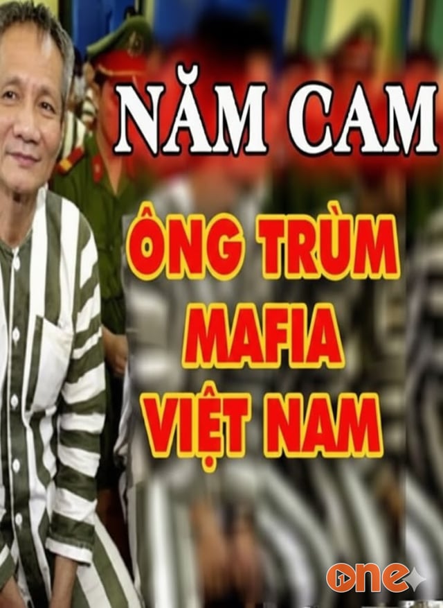 Bí mật chuyên án năm cam