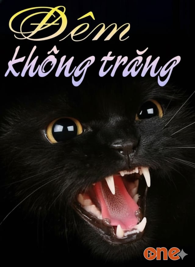 Đêm không trăng
