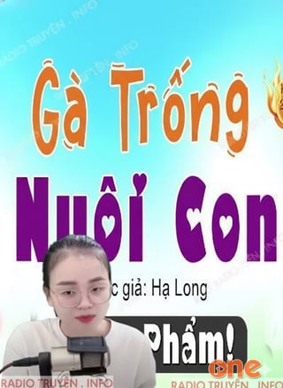 Gà Trống Nuôi Con