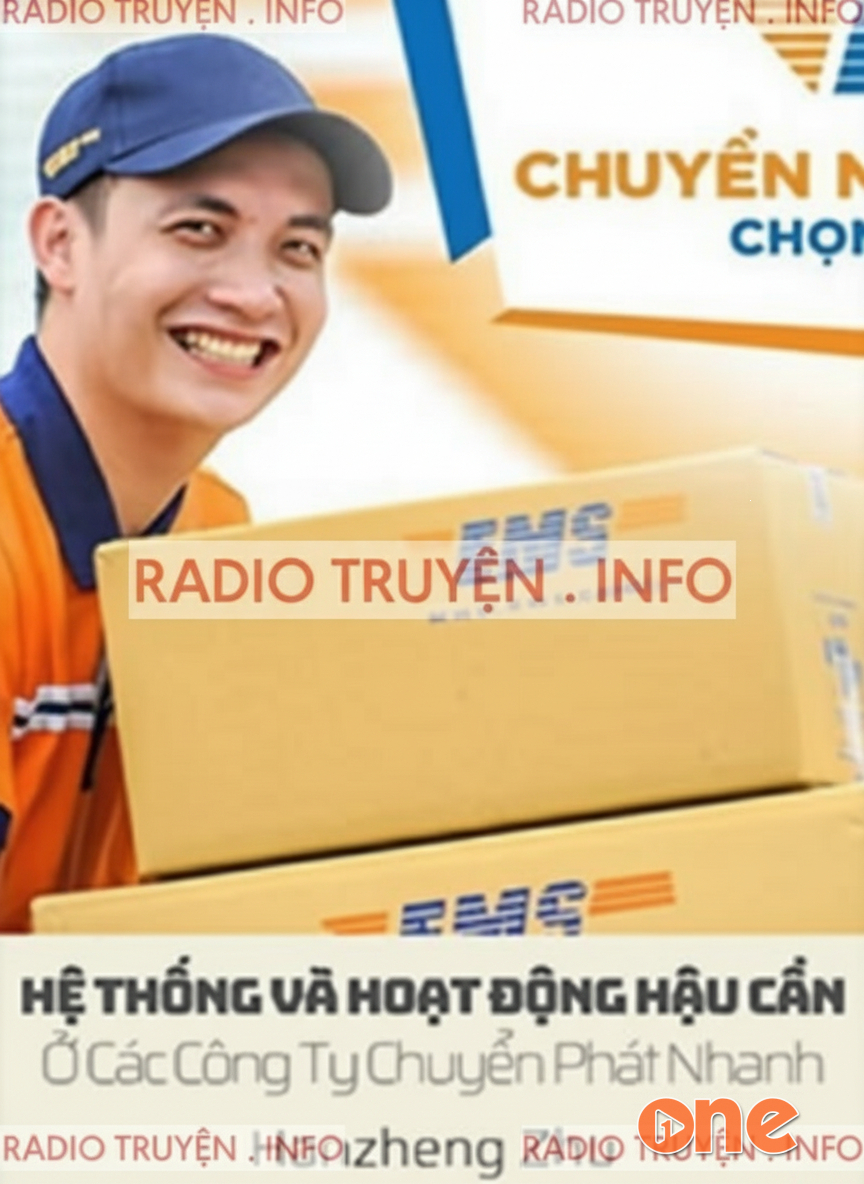 Hệ Thống Và Hoạt Động Hậu Cần Ở Các Công Ty Chuyển Phát Nhanh