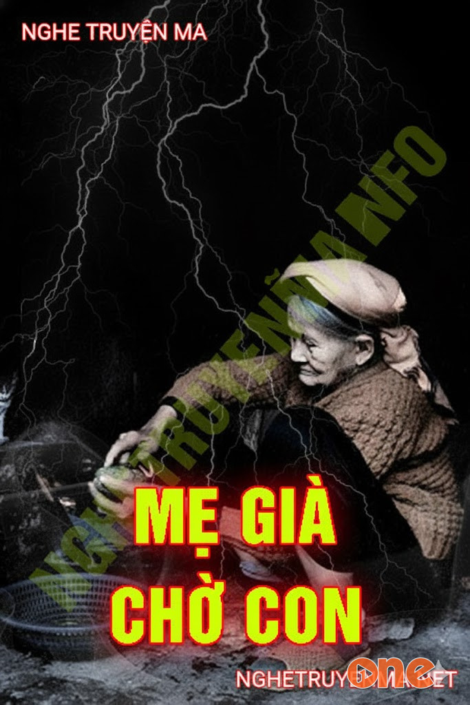 Mẹ Già Chờ Con