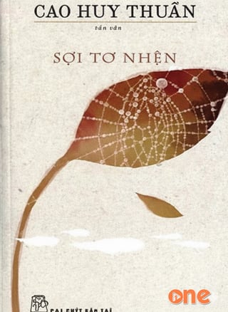 Sợi Tơ Nhện