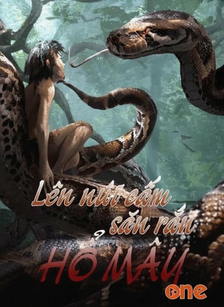 Lên Núi Cấm Săn Rắn Hổ Mây