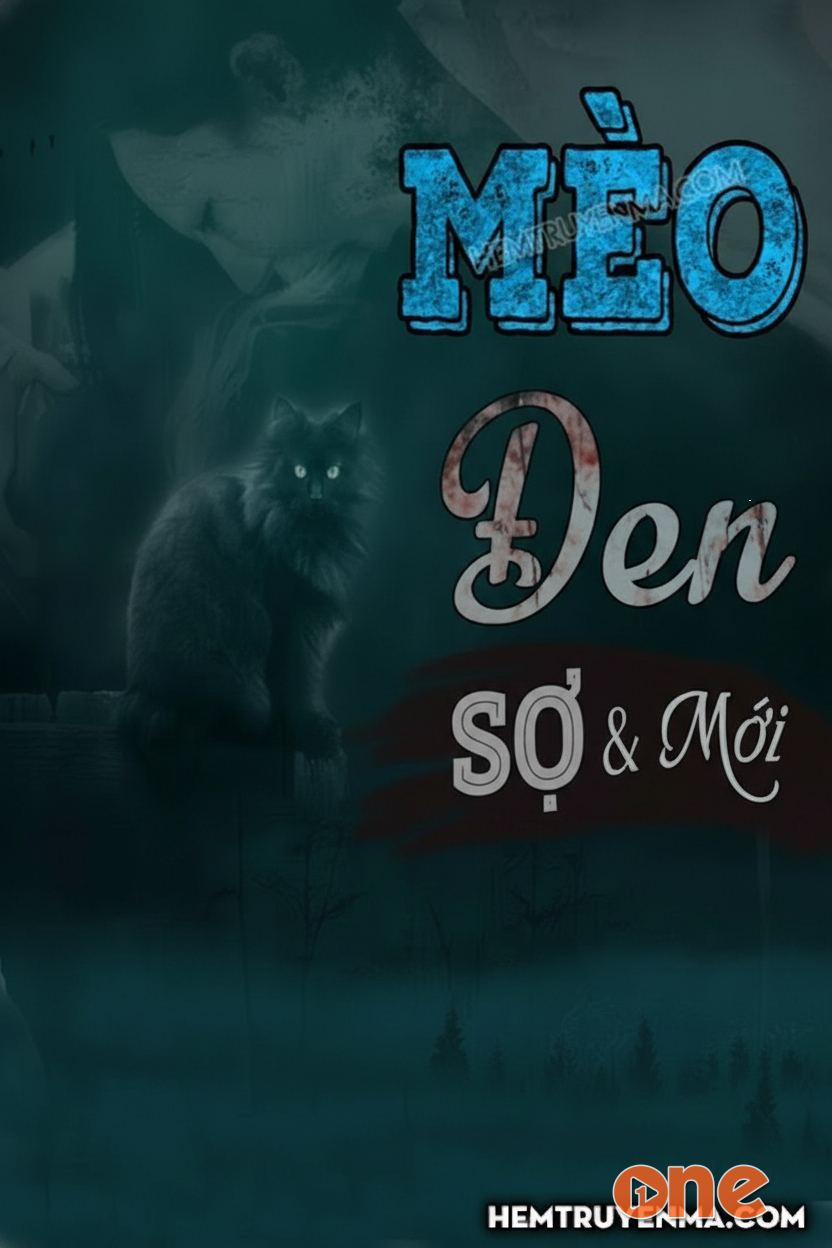Mèo Đen - MC Đình Soạn