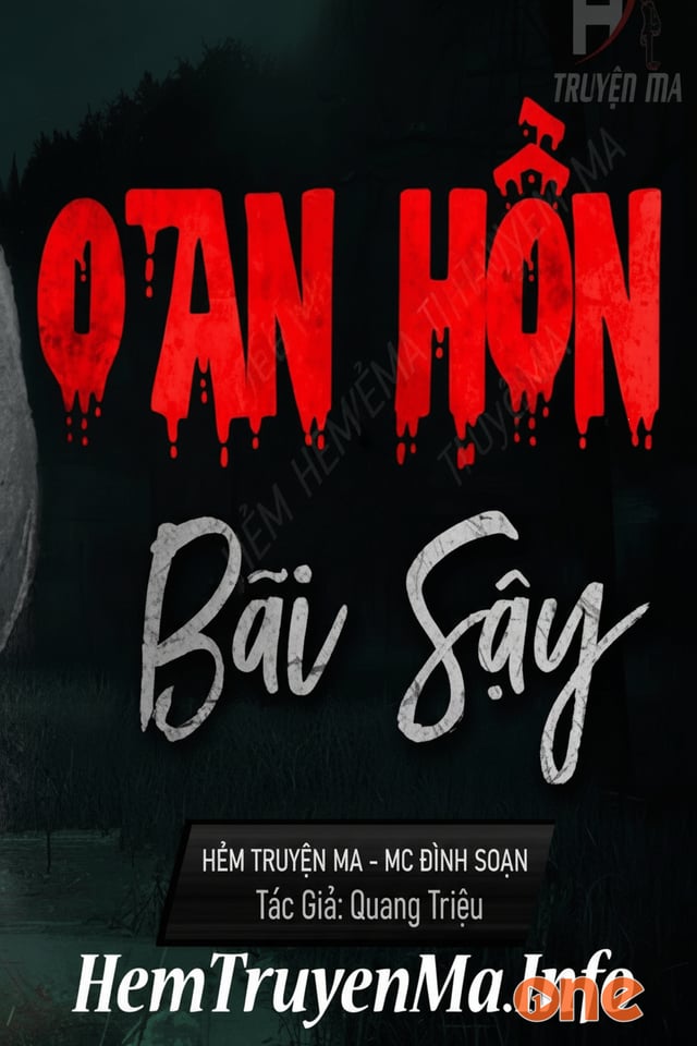 Oan Hồn Dưới Bãi Sậy - MC Đình Soạn