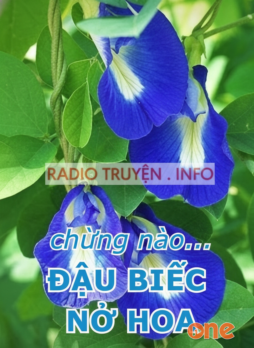 Chừng Nào Đậu Biếc Nở Hoa