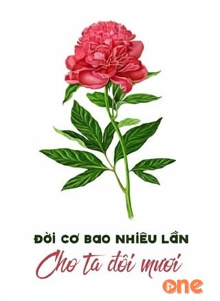 Đời Có Bao Nhiêu Lần Cho Ta Đôi Mươi