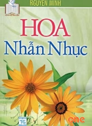 Hoa Nhẫn Nhục