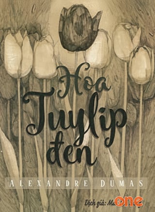 Hoa Tulip Đen