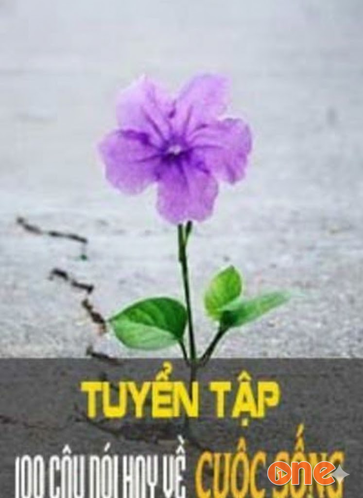 Tuyển Tập 100 Câu Nói Hay Về Cuộc Sống