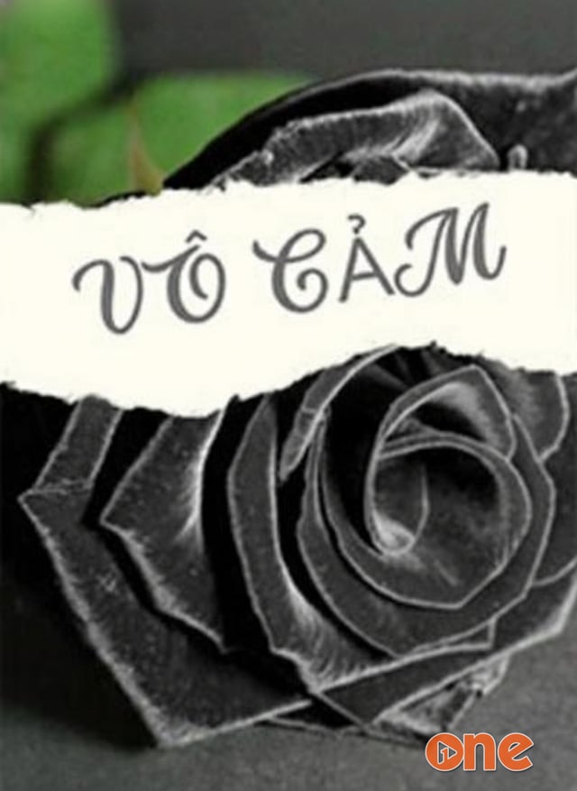 Vô Cảm