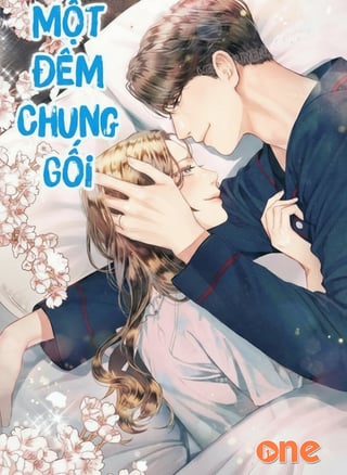 Một Đêm Chung Gối